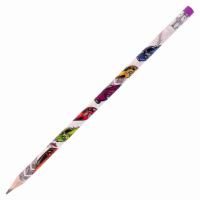 Карандаш чернографитный ЮНЛАНДИЯ "МАШИНКИ", 1 шт., HB, с ластиком, корпус с печатью