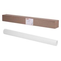 Ватман в рулоне (1,2x10 м), ГОЗНАК С-Пб, плотность 200 г/м2, BRAUBERG