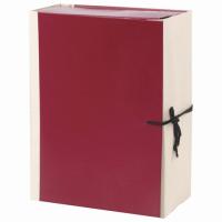 Папка для бумаг архивная А4 (225х310 мм), 120 мм, 4 завязки, бумвинил, корешок - коленкор