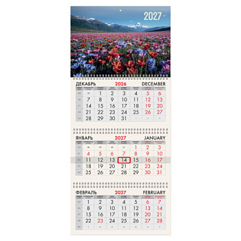 Календарь квартальный 2027г, 3 блока 3 гребня, бегунок, мелованная бумага, BRAUBERG, "Горные цветы"