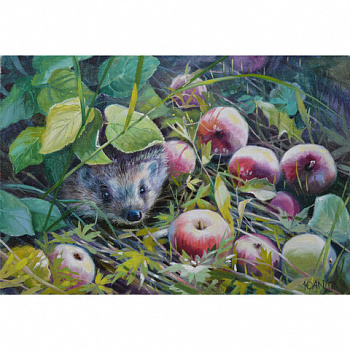 Картина стразами (алмазная мозаика) 30х40 см, ОСТРОВ СОКРОВИЩ "Ёжик", без подрамника