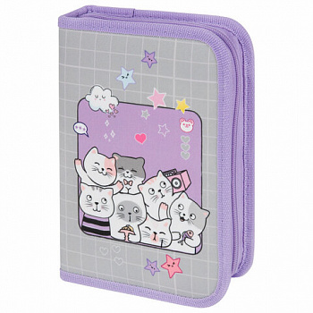 Пенал ПИФАГОР, 1 отделение, 2 откидные планки, полиэстер, 20х14 см, "Cats selfie"