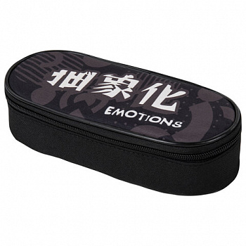 Пенал-футляр BRAUBERG, 1 отделение, органайзер, полиэстер, 22x9x5 см, "Emotions"