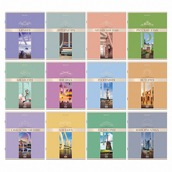 Тетради предметные, КОМПЛЕКТ 12 ПРЕДМЕТОВ, 48 л., обложка картон, BRAUBERG, "DELIGHT"