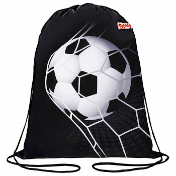 Мешок для обуви ПИФАГОР, 1 отделение, 42х34 см, "Ball kick"