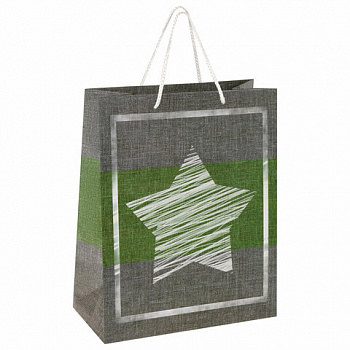 Пакет подарочный (1 штука) 26x13x32 см, ЗОЛОТАЯ СКАЗКА "Звезда", ламинированный