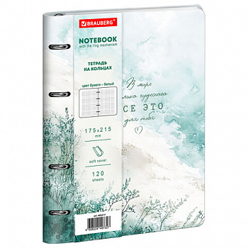 Тетрадь на кольцах А5 180х220, 120л, под кожу, фольга, резинка, BRAUBERG CLASSIC, Art of eye