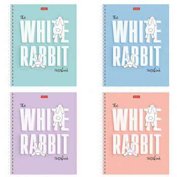 Тетрадь А5, 48 л., HATBER гребень, клетка, обложка картон, "Следуй за белым кроликом" (микс), 087016, 48Т5В1гр