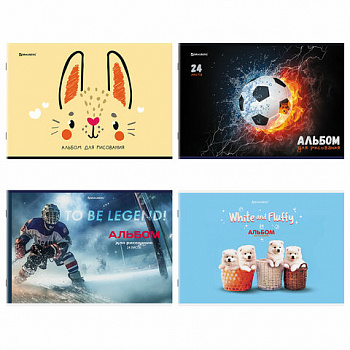 Альбом для рисования А4, 24 листа, скоба, обложка картон, BRAUBERG, 203х288 мм, "МИКС-1"