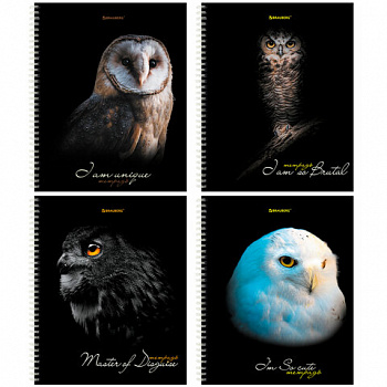 Тетрадь А5 96 л. BRAUBERG, гребень, клетка, твёрдая обложка, "Совы" (микс в спайке)