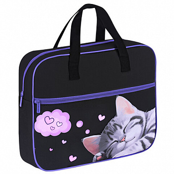 Папка на молнии с ручками BRAUBERG А4, 1 отделение, карман на молнии, 80 мм, "Sleeping kitten"