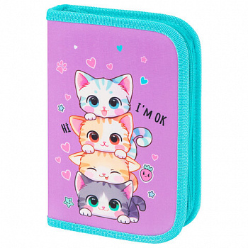 Пенал BRAUBERG, 1 отделение, 1 откидная планка, полиэстер, 21х14 см, "Funny kittens"