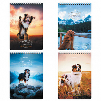 Блокнот А5 (146х206 мм), 80 л., гребень, картон, клетка, BRAUBERG, "Грациозные собаки"