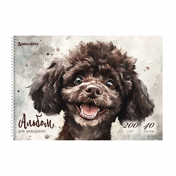 Альбом для акварели А4 40 л., бумага 200 г/м2, гребень, твердая подложка, BRAUBERG, "Пудель"