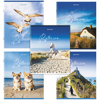 Тетрадь А5, 80 л., BRAUBERG, скоба, клетка, обложка картон, "By the Sea"