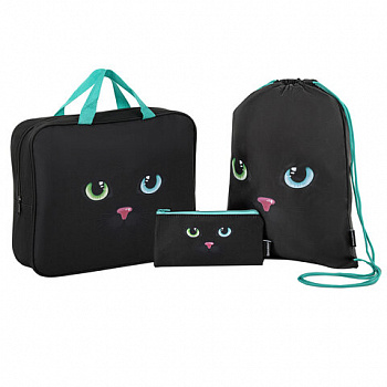 Папка на молнии с ручками А4, мешок для обуви 42х33 см, пенал 20х10 см, "Black cat" НАБОР BRAUBERG