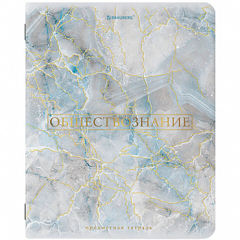 Тетрадь предметная "PASTEL" 48 л., SoftTouch, фольга, ОБЩЕСТВОЗНАНИЕ, клетка, BRAUBERG