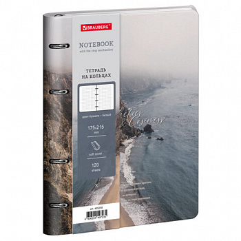Тетрадь на кольцах А5 180х220, 120л, под кожу, BRAUBERG VISTA, Esthetics