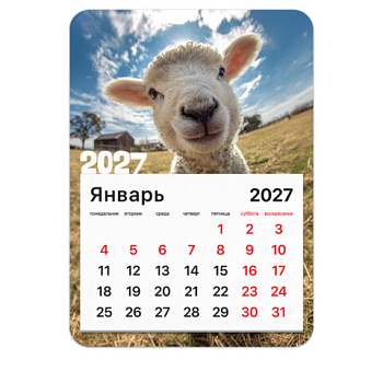 Календарь отрывной на магните на 2027 г., BRAUBERG, 130x180 мм, склейка, "Символ года"