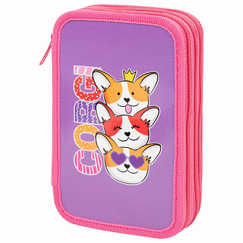 Пенал ПИФАГОР, 3 отделения, ламинированный картон, 19х11 см, "Corgi queen"