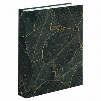 Тетрадь на кольцах А5 (175х215 мм), 240 листов, твердый картон, клетка, с разделителями, BRAUBERG, Листья