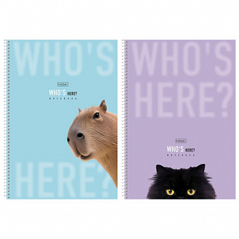 Тетрадь А4 96л. HATBER спираль, линия, матовая ламинация, Кто здесь? (микс в спайке),, 96Т4лВ2сп