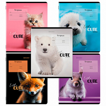 Тетрадь 12 л. BRAUBERG, клетка, обложка картон, CUTE ANIMALS