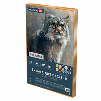Бумага для пастели АБРАЗИВНАЯ А4 в коробке, 40 листов 8 цветов, 240 г/м2, BRAUBERG AR