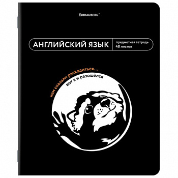 Тетрадь предметная МЕМЫ 48 л., TWIN-лак, АНГЛИЙСКИЙ ЯЗЫК, клетка, подсказ, BRAUBERG