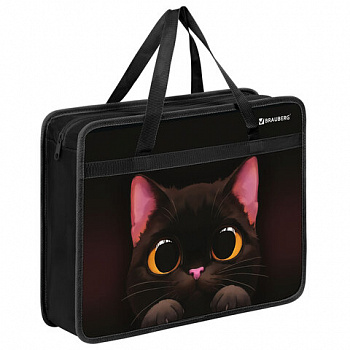 Папка на молнии с ручками BRAUBERG А4, 1 отделение, пластик, 80 мм, "Big black cat"
