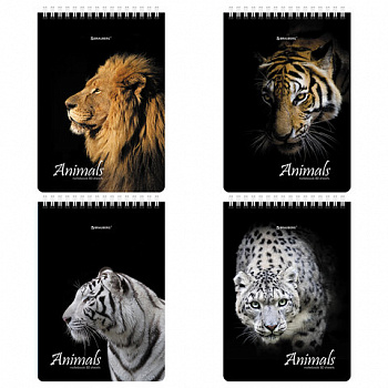 Блокнот А5 (146х206 мм), 80 л., гребень, картон, жесткая подложка, клетка, BRAUBERG, "Хищники"