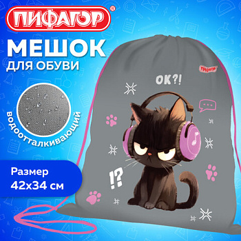 Мешок для обуви ПИФАГОР, 1 отделение, 42х34 см, "Ruffled kitten"