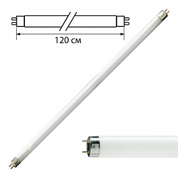 Лампа люминесцентная PHILIPS TL-D 36W/54-765, 36 Вт, цоколь G13, в виде трубки 120 см, холодный дневной свет