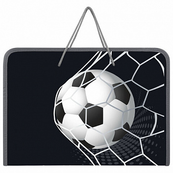 Папка для труда на молнии с ручками ПИФАГОР А4, 1 отделение, пластик, органайзер, "Ball kick"