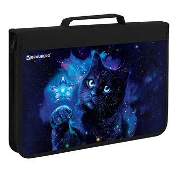 Папка на молнии BRAUBERG А4 с ручкой, с органайзером, 1 отделение, "Star cat"