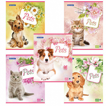 Тетрадь А5, 48 л., BRAUBERG, скоба, клетка, обложка картон, ЛЮБИМЧИКИ