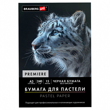 Бумага для пастели АБРАЗИВНАЯ А3 в папке, 15 листов, ЧЕРНАЯ, 240 г/м2, BRAUBERG ART