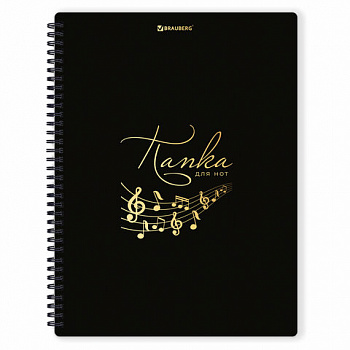 Папка-тетрадь для нот А4, 20 вкладышей на 40 страниц, на гребне, пластик, ЧЕРНАЯ, BRAUBERG