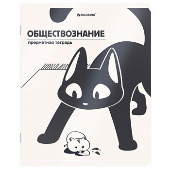 Тетрадь предметная КОТ-НЕПОСЕДА 48л, пластиковая обложка, ОБЩЕСТВОЗНАНИЕ, клетка, подсказ, BRAUBERG