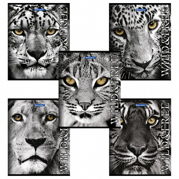 Тетрадь А5, 48 л., BRAUBERG скоба, клетка, обложка картон, ДИКИЕ И СВОБОДНЫЕ