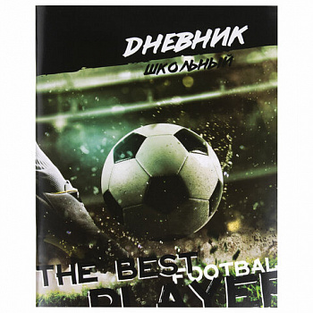 Дневник 1-11 класс 40 л., на скобе, ПИФАГОР, обложка картон, "Футбол"