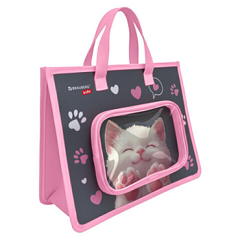 Папка на молнии с ручками BRAUBERG KIDS А4, 1 отделение, доп.карманы, пластик, "Purr cat"