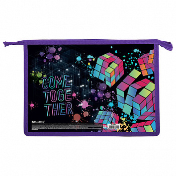 Папка для труда на молнии BRAUBERG А4, 2 отделения, органайзер, "Come together"