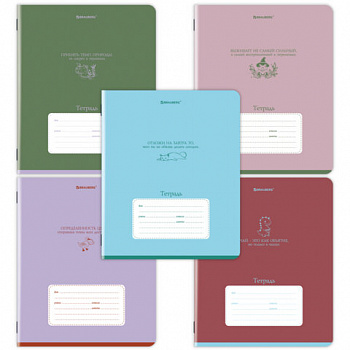 Тетрадь 12л. BRAUBERG клетка, обложка картон, PHRASES