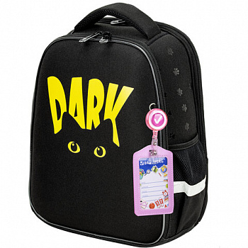 Ранец BRAUBERG FIT, 2 отделения, "Dark cat", 38х27х14 см