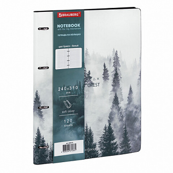 Тетрадь на кольцах БОЛЬШАЯ А4 (240х310 мм), 120 л., под кожу, BRAUBERG VISTA, "Туман"