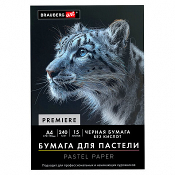 Бумага для пастели АБРАЗИВНАЯ А4 в папке, 15 листов, ЧЕРНАЯ, 240 г/м2, BRAUBERG ART