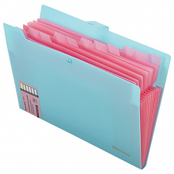 Папка-органайзер на кнопке 12 отделений, BRAUBERG "Extra", А4, голубая с розовым