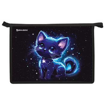 Папка для труда на молнии BRAUBERG А4, 2 отделения, органайзер, "Space kitten"