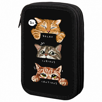 Пенал ПИФАГОР, 3 отделения, ламинированный картон, 19х11 см, "Cool trio"